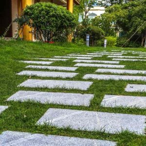 Bluestone Pavers Tiles Garden