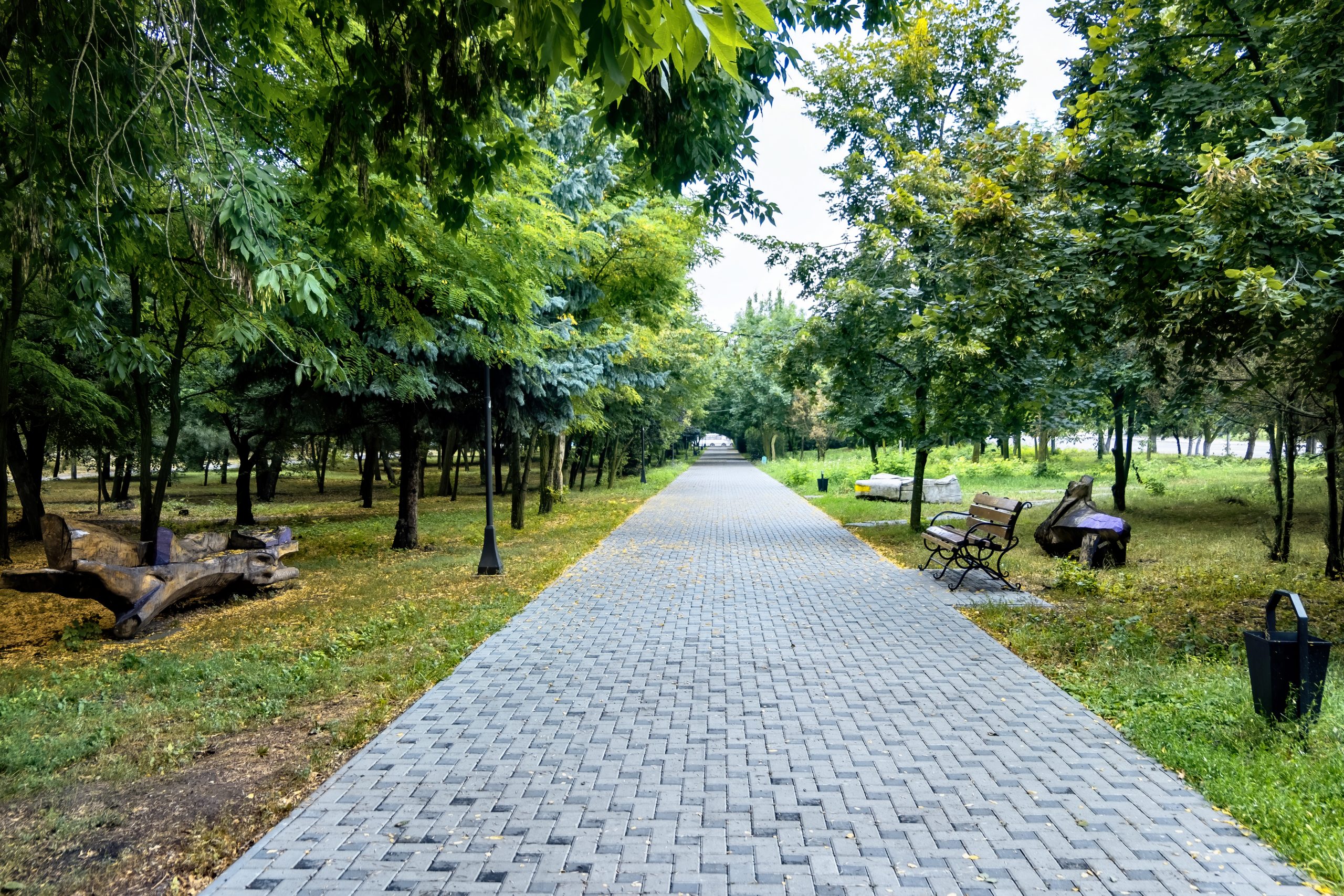 Walkway in a park with pavers