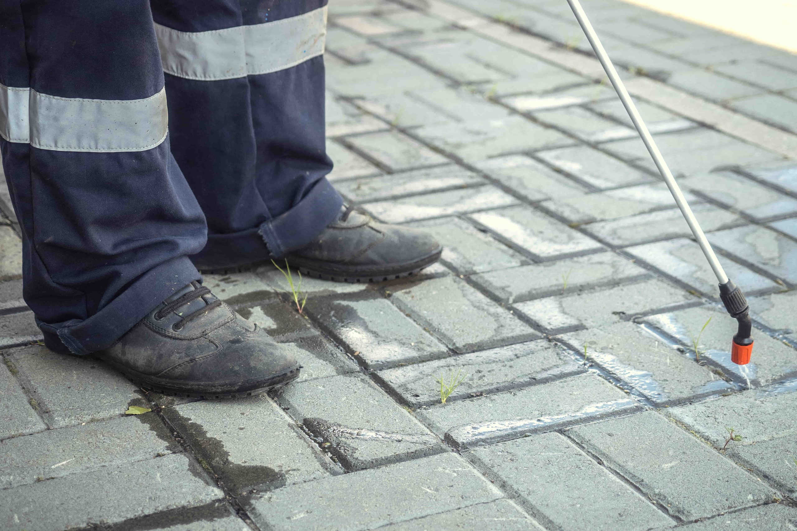 Bluestone Cleaning